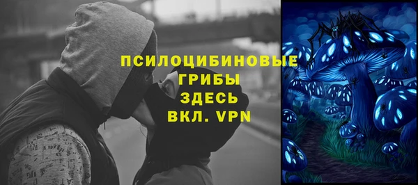 метамфетамин Богданович