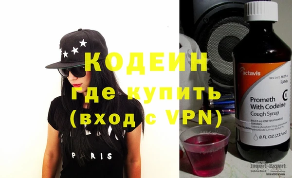 шишки Медвежьегорск