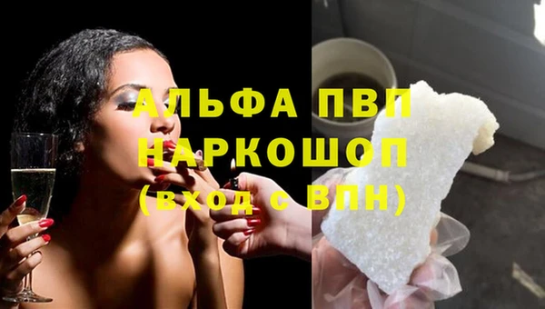 шишки Медвежьегорск