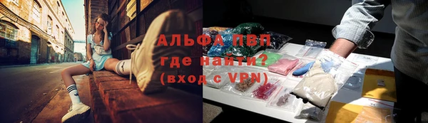 трава Верея