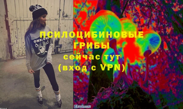 гидропоника Медногорск