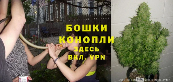 гидропоника Медногорск