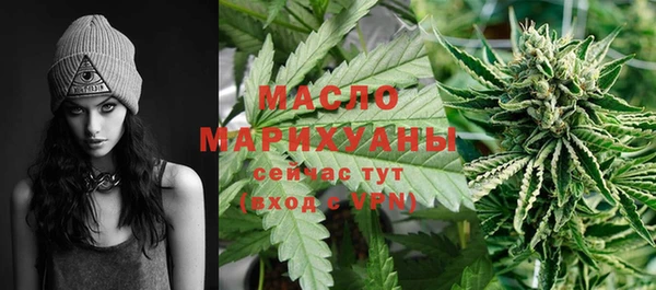 гидропоника Медногорск