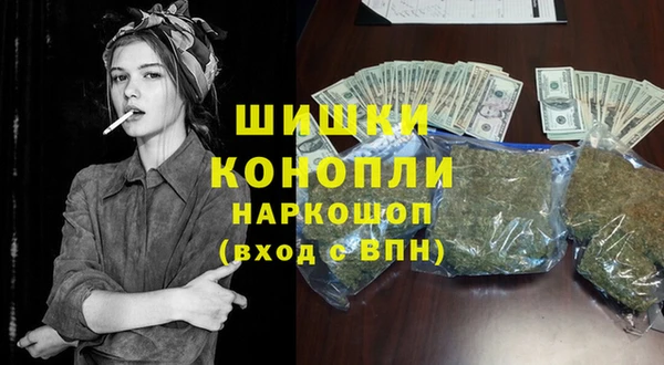 гидропоника Медногорск