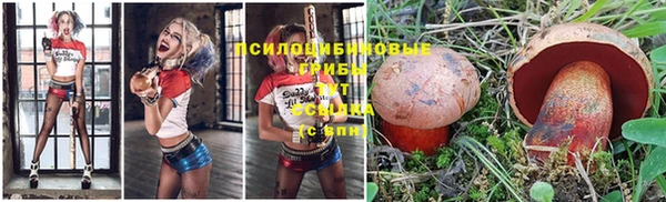 круглые Мегион