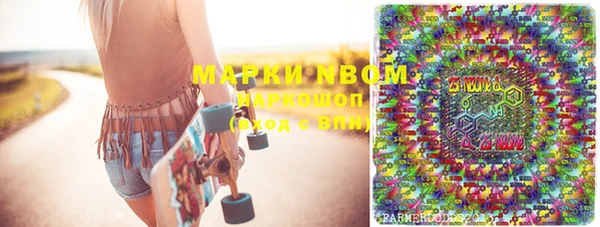 шишки Медвежьегорск