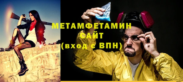 шишки Медвежьегорск