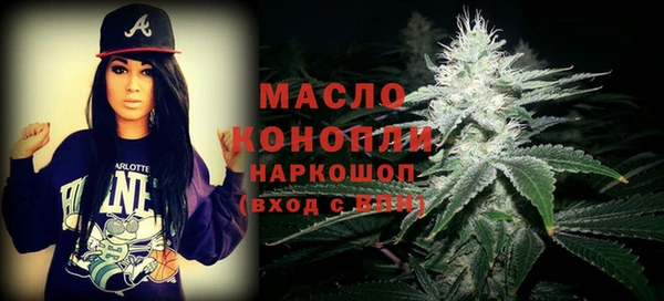 шишки Медвежьегорск