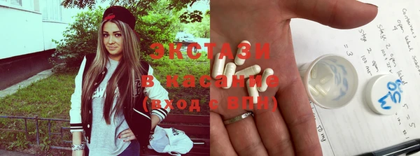 шишки Медвежьегорск