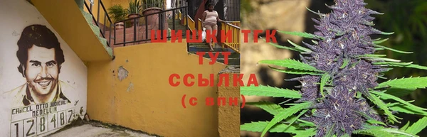круглые Мегион