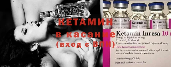 шишки Медвежьегорск