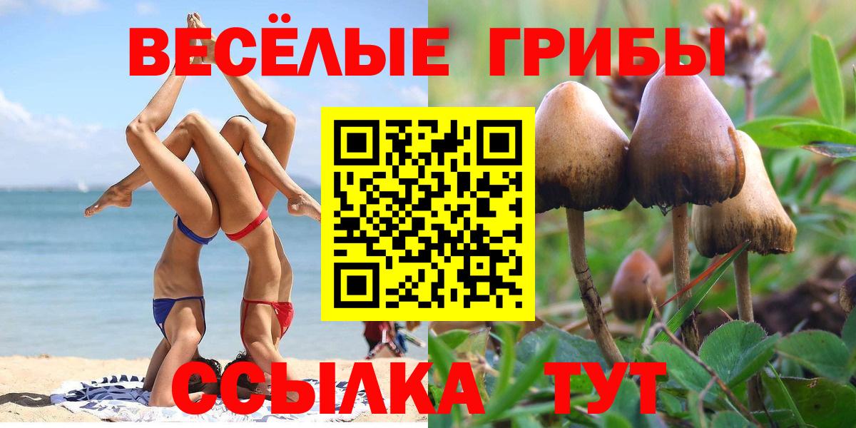 Псилоцибиновые грибы мухоморы  купить наркоту  Аргун 