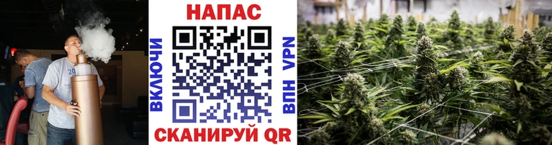 Канабис AK-47  МЕГА онион  Аргун 