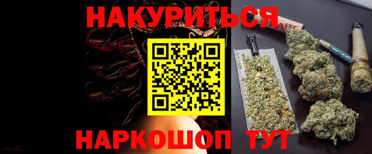 Каннабис планчик Аргун